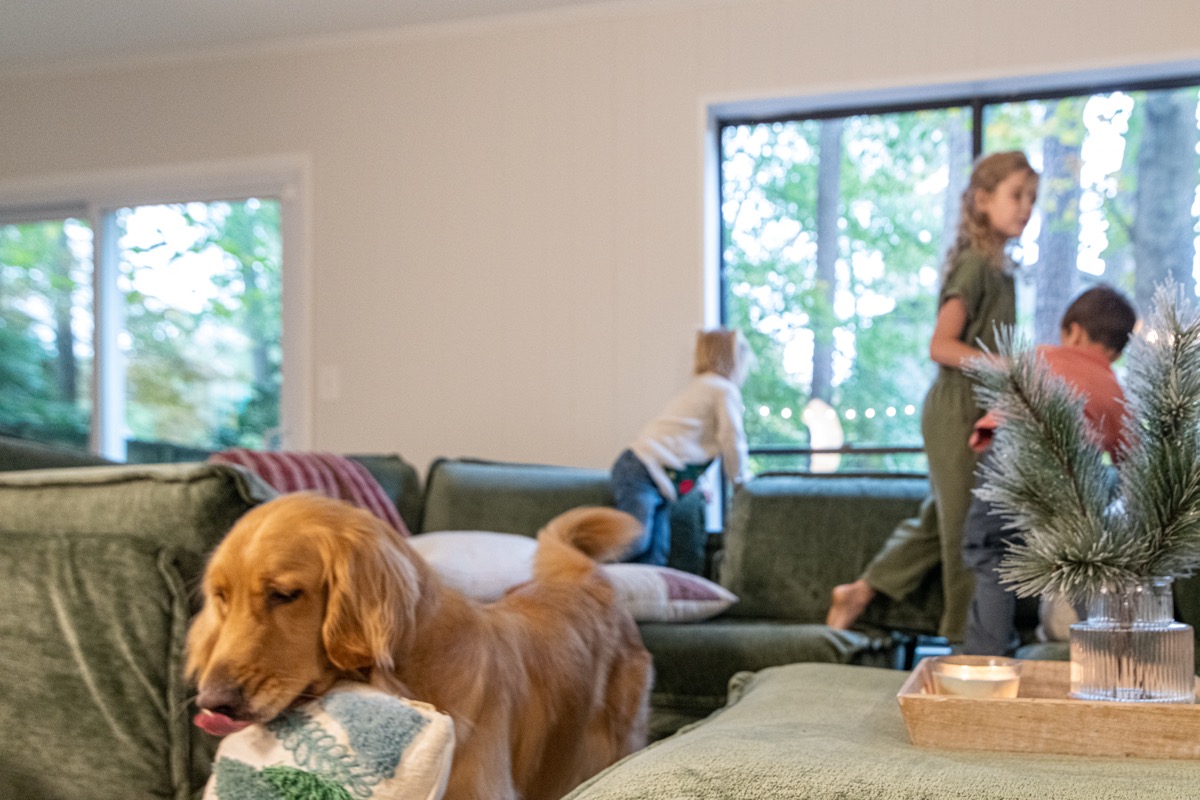 Family with dog in living room with new floors